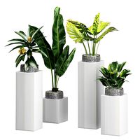 FLOWER PACK 102