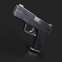 USP Gun