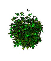 Bush_(1).rfa