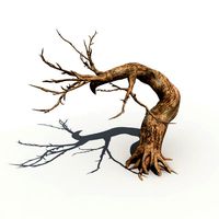 Dry Tree 12
