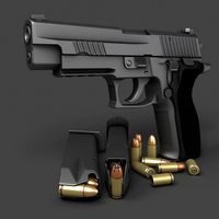 Sig Sauer P226 Enhanced Elite 9mm