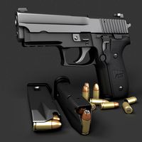Sig Sauer P229 Classic 9mm