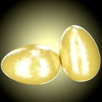 Eggs