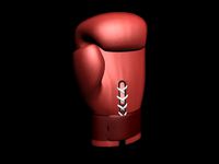 Boxing Glove