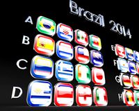 Flags of Brazil 2014