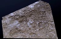 Scanned concrete 01