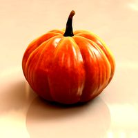 Pumpkin