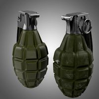 Grenades F1