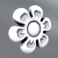Carved rosettes 17