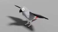 Cartoon Gray Parrot