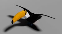 Cartoon Toucan