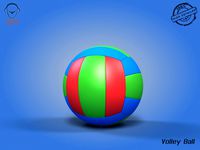 Volley Ball