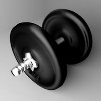Adjustable Dumbbell 20 kg