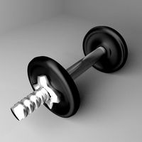 Adjustable Dumbbell 2.5 kg
