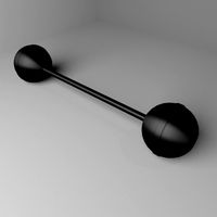 Fixed Barbell 10 kg