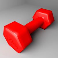 Fixed Dumbbell 4 kg