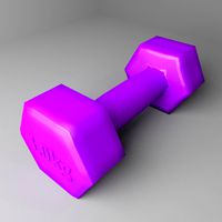 Fixed Dumbbell 3 kg