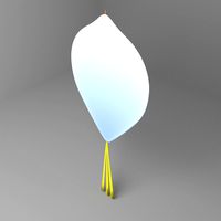 Heart-shape Kite