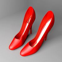 High-heeled Shoe 1