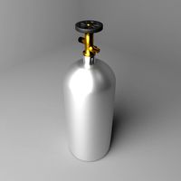 Gas Tank Cylinder 10 Pound