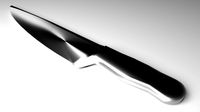 Chef Knife