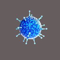 Corona Virus
