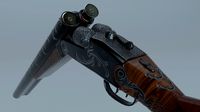 Shotgun