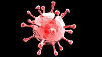 Coronavirus Covid-19