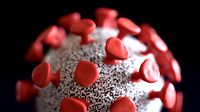Coronavirus Simple