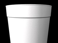 Foam Coffee Cup Free