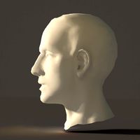 Human head