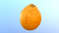 Lemon 01 HY poly 3D model