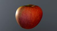 HY poly Apple 08 3D model