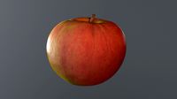 HY poly Apple 06 3D model