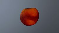 HY poly peach fruit 08 3D model