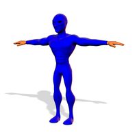 Blue Ninja Fighter Super Hero Character