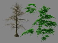 Moon Temple - Pine 01