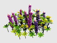 Small Plant - Mountain Flower 40