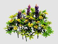 Small plants - Shanhua 39