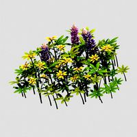 Small Plant - Mountain Flower 38