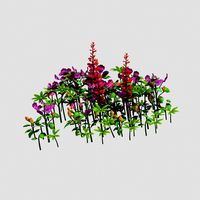 Small Plants - Shanhua 35