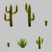 Desert Plant - Cactus 09