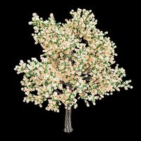 Forest - Pear - Pear Tree