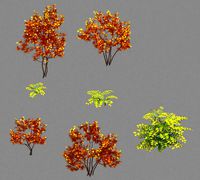 Forest - Red Leaf Valley Plant 2