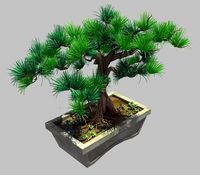 Bonsai - Flowerpot 39
