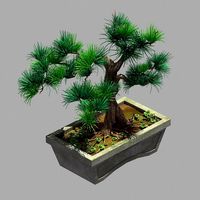 Bonsai - Flowerpot 36
