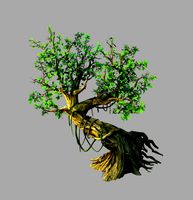 Fernnor Tree Cave - Right Tree 02