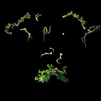Fernnor Tree Cave - Edge Branch 01