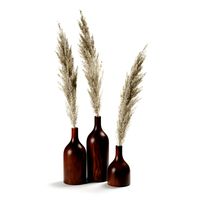 Pampas Grass Bouquet 04