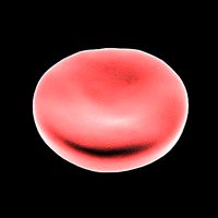 blood cell